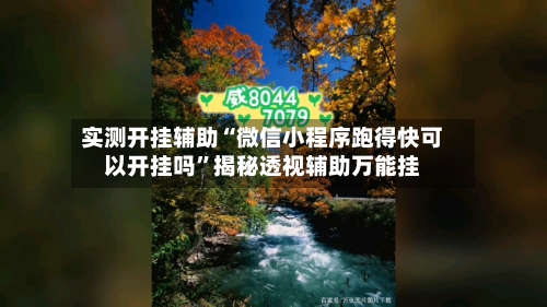 实测开挂辅助“微信小程序跑得快可以开挂吗”揭秘透视辅助万能挂-第3张图片