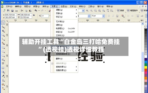 辅助开挂工具“白金岛三打哈免费挂”(透视挂)透视详细教程
