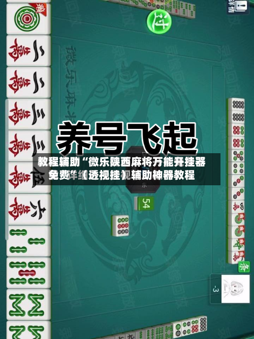 教程辅助“微乐陕西麻将万能开挂器免费”（透视挂）辅助神器教程
