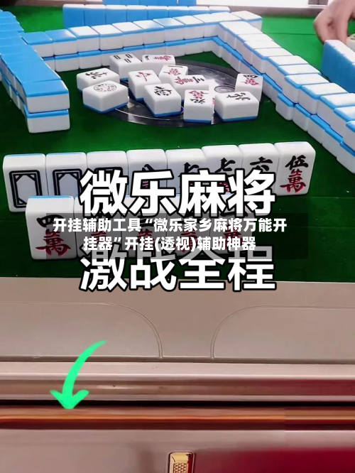 开挂辅助工具“微乐家乡麻将万能开挂器”开挂(透视)辅助神器-第2张图片