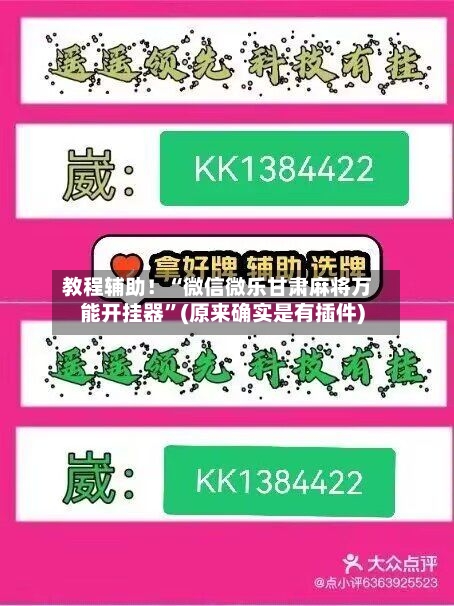 教程辅助！“微信微乐甘肃麻将万能开挂器	”(原来确实是有插件)-第3张图片