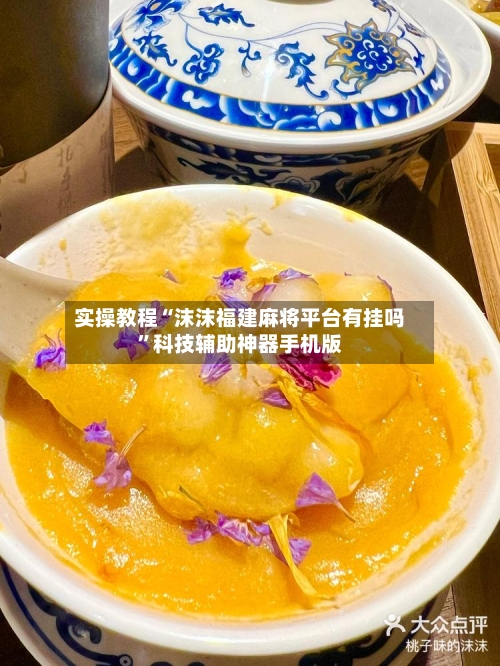 实操教程“沫沫福建麻将平台有挂吗”科技辅助神器手机版-第3张图片