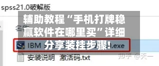 辅助教程“手机打牌稳赢软件在哪里买	”详细分享装挂步骤!-第2张图片