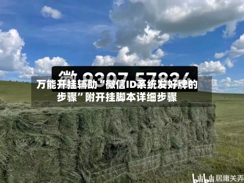 万能开挂辅助“微信ID系统发好牌的步骤”附开挂脚本详细步骤