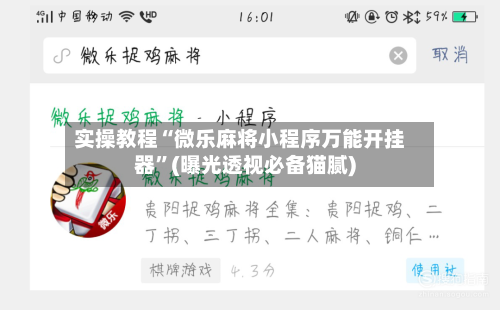 实操教程“微乐麻将小程序万能开挂器”(曝光透视必备猫腻)-第2张图片