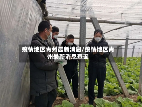 疫情地区青州最新消息/疫情地区青州最新消息查询-第2张图片