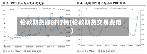 伦敦期货即时行情(伦敦期货交易费用)-第2张图片