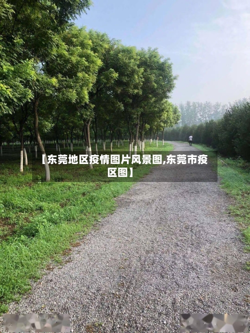 【东莞地区疫情图片风景图,东莞市疫区图】-第2张图片