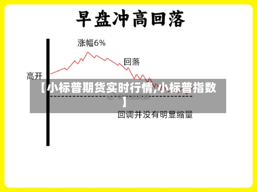 【小标普期货实时行情,小标普指数】-第3张图片