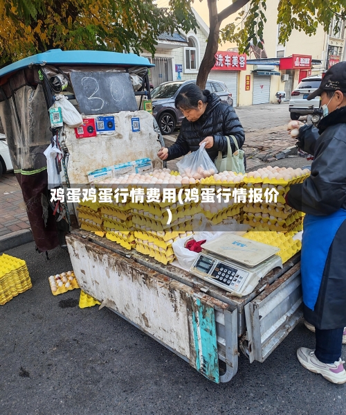 鸡蛋鸡蛋行情费用(鸡蛋行情报价)-第3张图片
