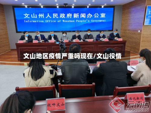 文山地区疫情严重吗现在/文山役情