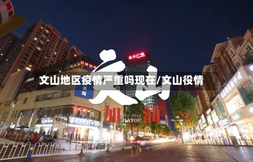 文山地区疫情严重吗现在/文山役情-第2张图片