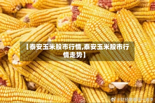 【泰安玉米股市行情,泰安玉米股市行情走势】-第2张图片