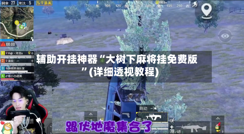 辅助开挂神器“大树下麻将挂免费版”(详细透视教程)-第3张图片