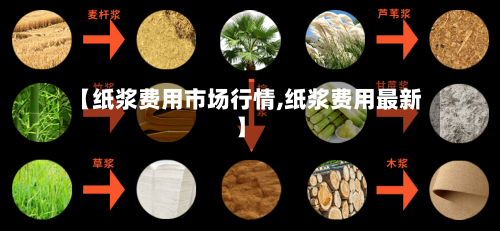【纸浆费用市场行情,纸浆费用最新】-第2张图片