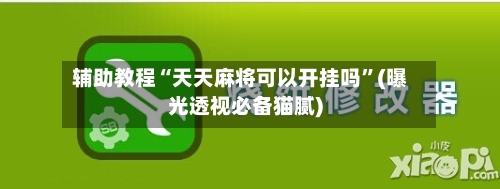 辅助教程“天天麻将可以开挂吗”(曝光透视必备猫腻)-第2张图片
