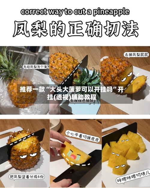 推荐一款“大头大菠萝可以开挂吗”开挂(透视)辅助教程-第2张图片
