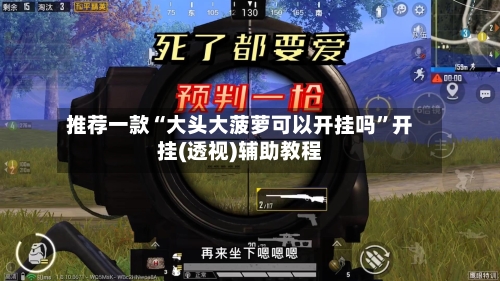 推荐一款“大头大菠萝可以开挂吗”开挂(透视)辅助教程