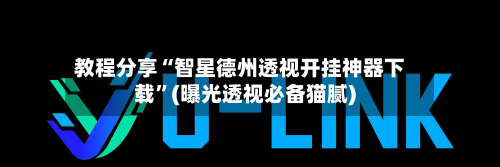 教程分享“智星德州透视开挂神器下载”(曝光透视必备猫腻)-第3张图片