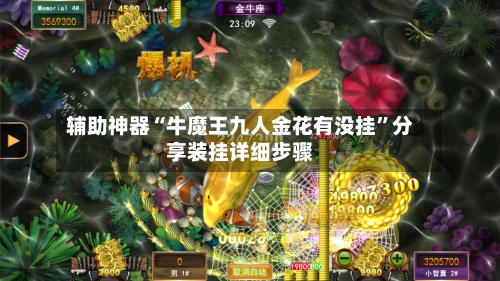 辅助神器“牛魔王九人金花有没挂”分享装挂详细步骤