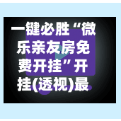 一键必胜“微乐亲友房免费开挂”开挂(透视)最新辅助详细-第3张图片