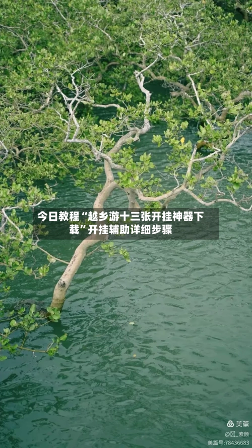 今日教程“越乡游十三张开挂神器下载”开挂辅助详细步骤-第2张图片