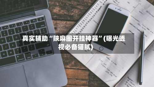 真实辅助“陕麻圈开挂神器”(曝光透视必备猫腻)