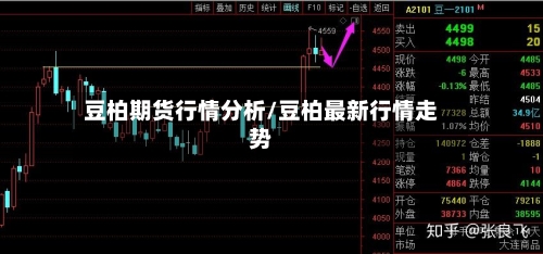 豆柏期货行情分析/豆柏最新行情走势