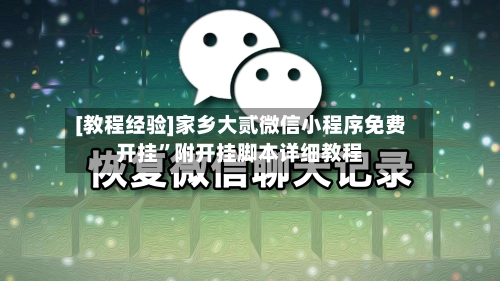 [教程经验]家乡大贰微信小程序免费开挂”附开挂脚本详细教程-第2张图片