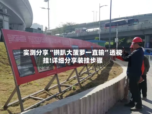 实测分享“拱趴大菠萝一直输”透视挂!详细分享装挂步骤-第2张图片
