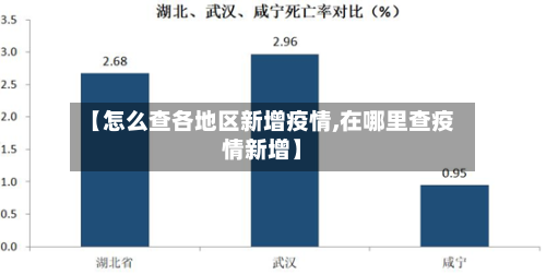【怎么查各地区新增疫情,在哪里查疫情新增】