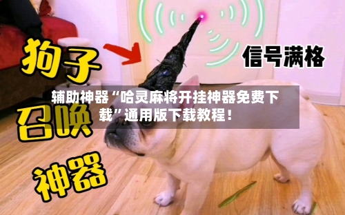 辅助神器“哈灵麻将开挂神器免费下载”通用版下载教程！-第2张图片