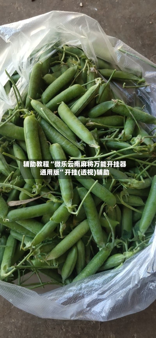 辅助教程“微乐云南麻将万能开挂器通用版”开挂(透视)辅助