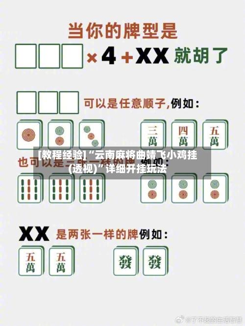 [教程经验]“云南麻将曲靖飞小鸡挂(透视)”详细开挂玩法