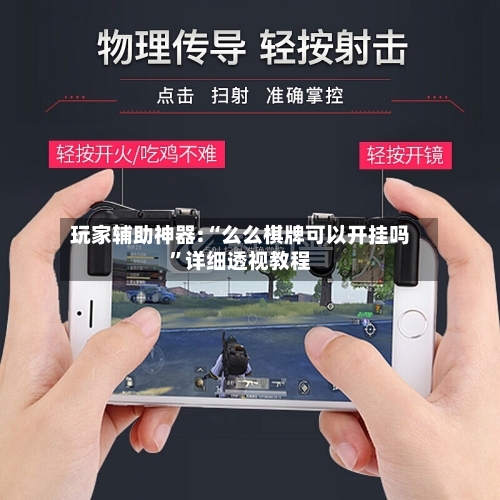 玩家辅助神器:“么么棋牌可以开挂吗”详细透视教程-第2张图片