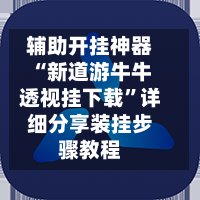 辅助开挂神器“新道游牛牛透视挂下载”详细分享装挂步骤教程