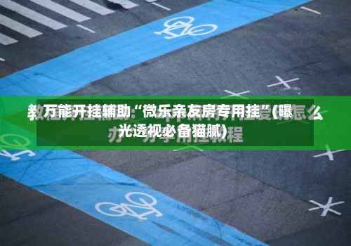 万能开挂辅助“微乐亲友房专用挂”(曝光透视必备猫腻)-第3张图片
