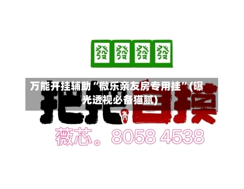 万能开挂辅助“微乐亲友房专用挂”(曝光透视必备猫腻)