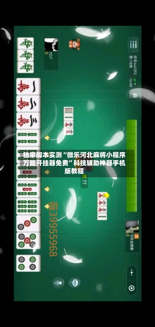 独家脚本实测“微乐河北麻将小程序万能开挂器免费	”科技辅助神器手机版教程-第2张图片