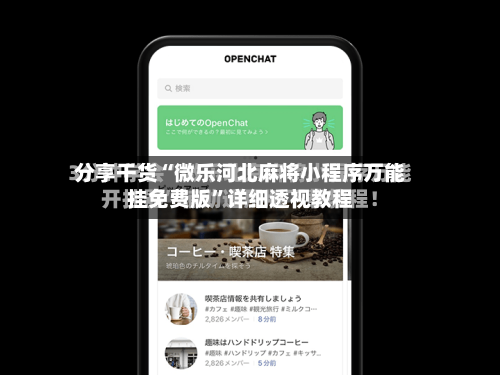 分享干货“微乐河北麻将小程序万能挂免费版”详细透视教程-第2张图片