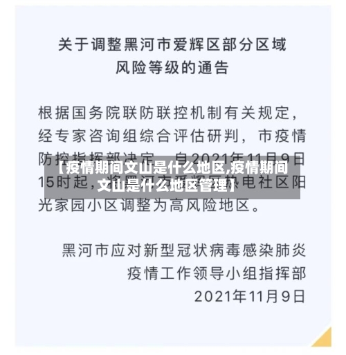 【疫情期间文山是什么地区,疫情期间文山是什么地区管理】