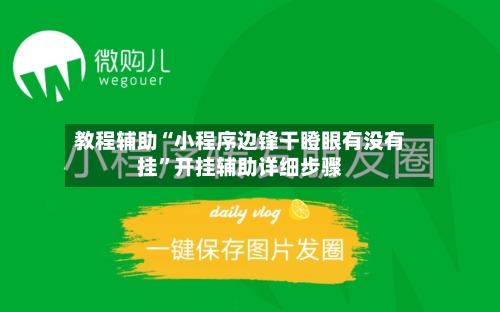 教程辅助“小程序边锋干瞪眼有没有挂”开挂辅助详细步骤-第3张图片