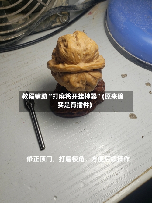 教程辅助“打麻将开挂神器”(原来确实是有插件)