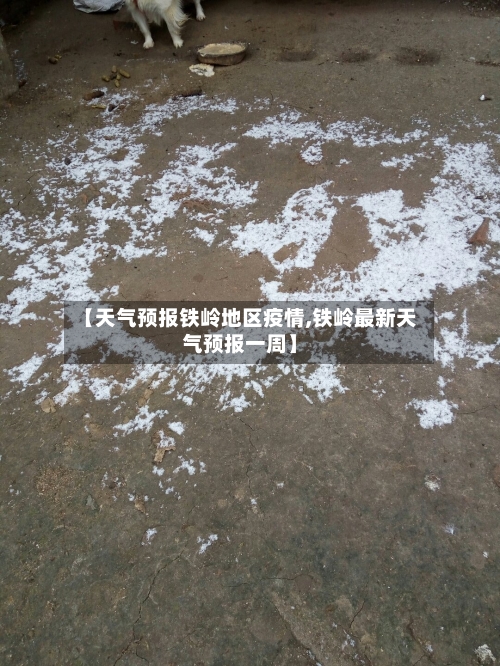 【天气预报铁岭地区疫情,铁岭最新天气预报一周】-第3张图片