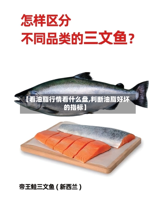 【看油脂行情看什么盘,判断油脂好坏的指标】