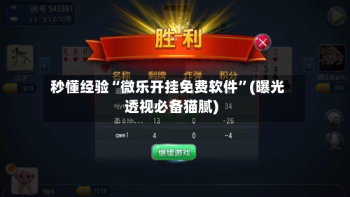秒懂经验“微乐开挂免费软件”(曝光透视必备猫腻)-第2张图片