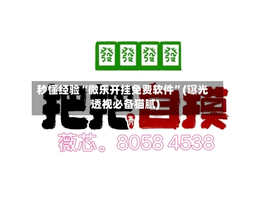 秒懂经验“微乐开挂免费软件”(曝光透视必备猫腻)