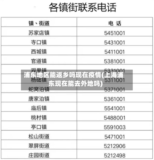 浦东地区能返乡吗现在疫情(上海浦东现在能去外地吗)