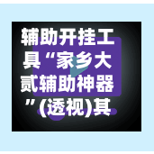 辅助开挂工具“家乡大贰辅助神器”(透视)其实确实有挂-第2张图片