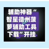 辅助神器“智星德州菠萝辅助工具下载”开挂神器{透视辅助}全揭秘